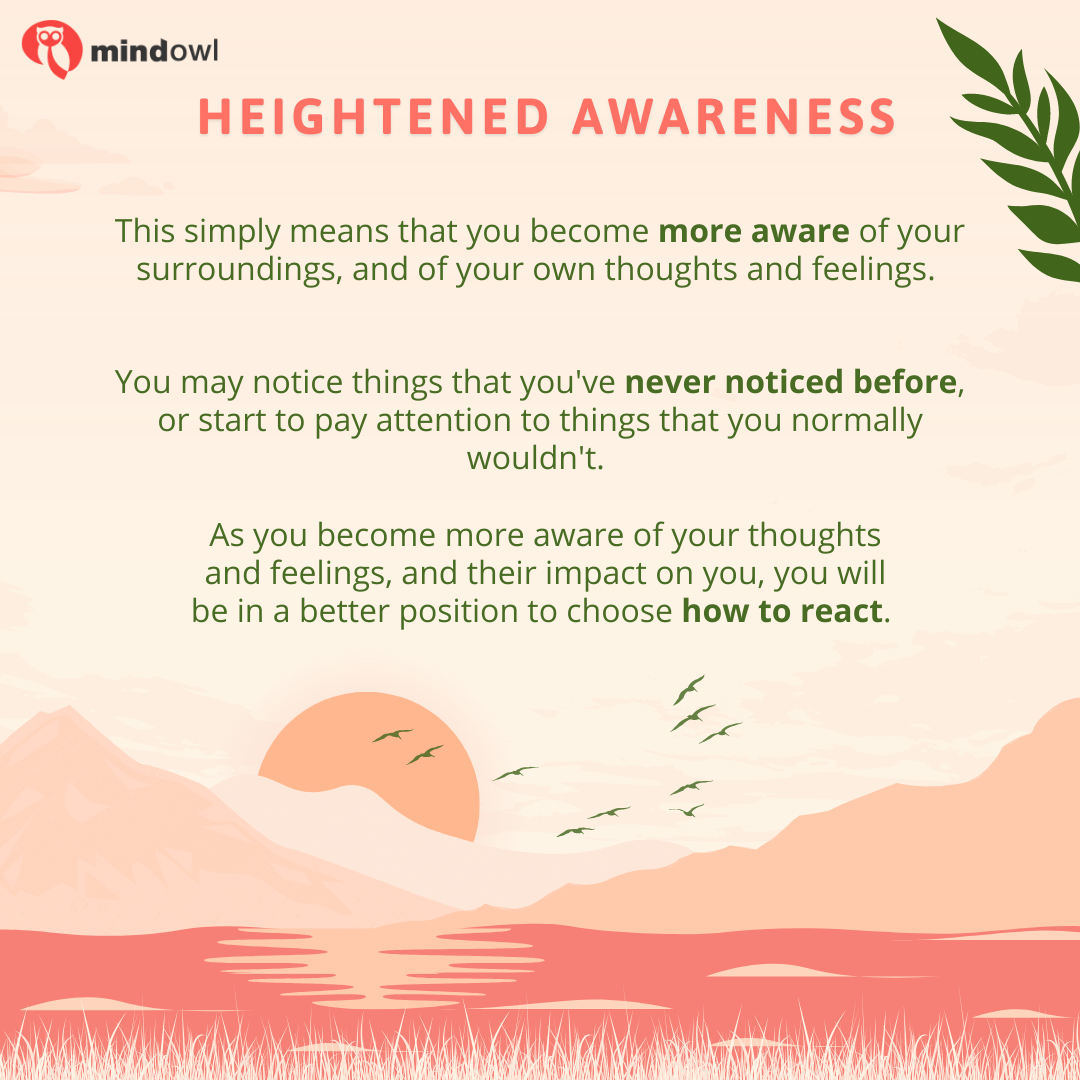 How Do I Know If I'm Meditating Correctly? - MindOwl