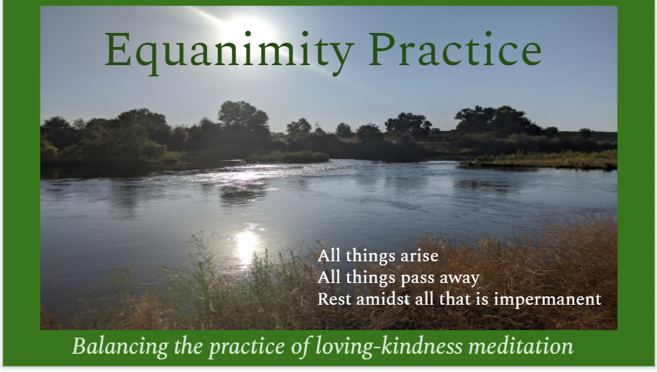 Equanimity Meditation Class | Elena Perez Licensed Acupuncturist Equanimity Meditation Class | Elena Perez Licensed Acupuncturist